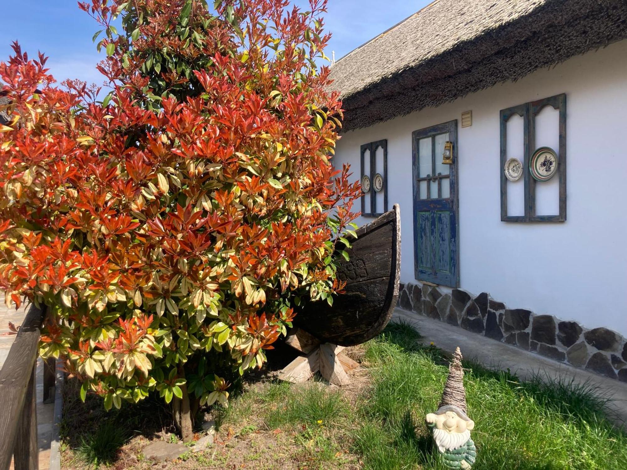 Hotel Casa Soarelui Murighiol Exteriér fotografie