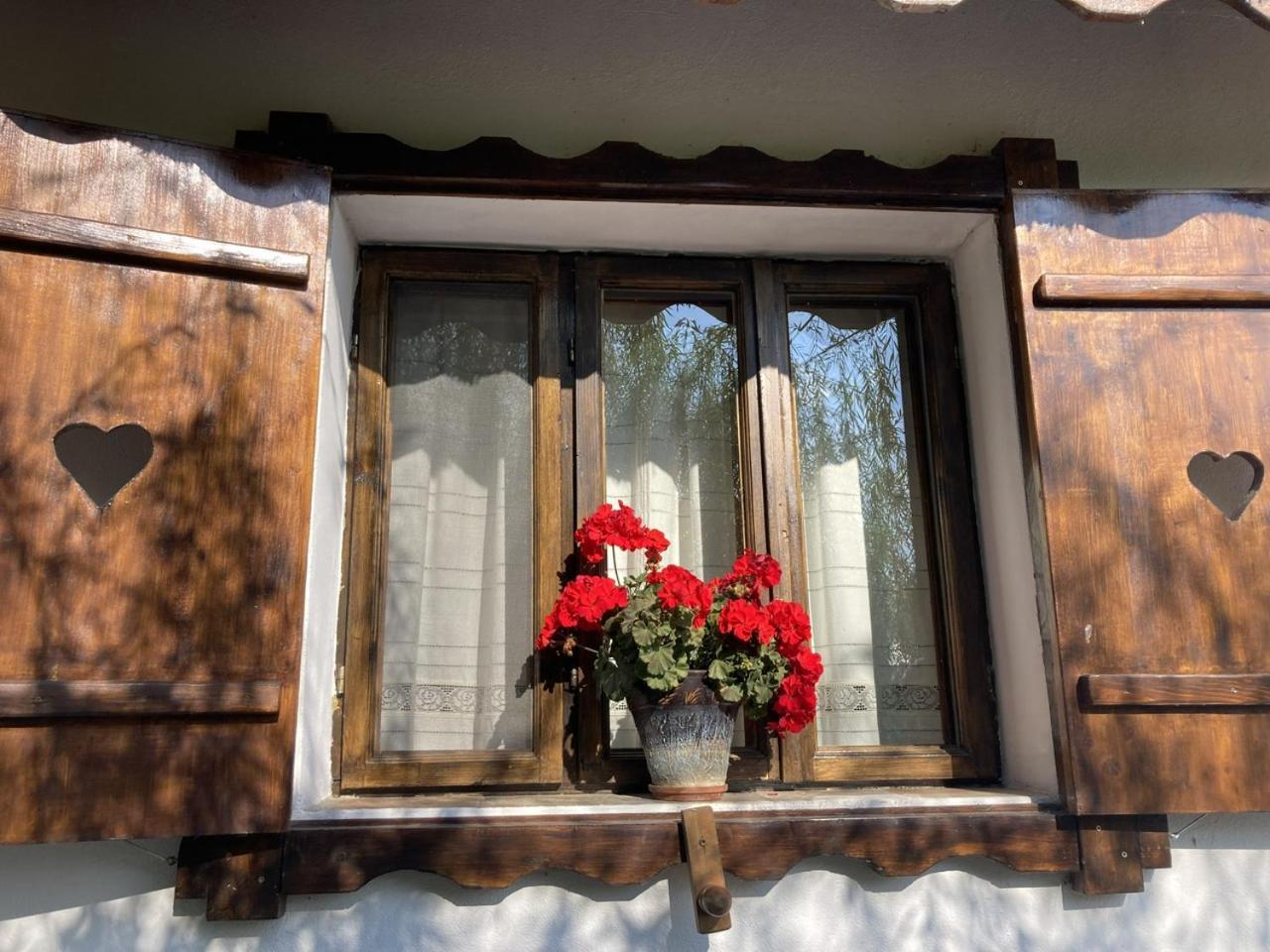 Hotel Casa Soarelui Murighiol Exteriér fotografie